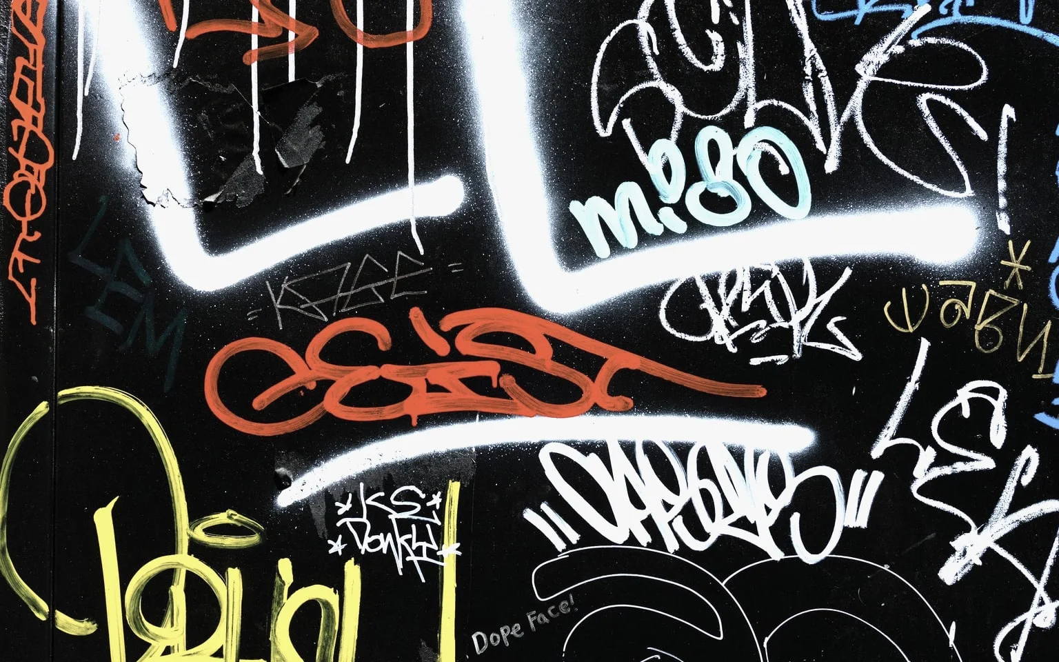 Fassadenreinigung und Graffitischutzbehandlung